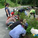 성산구 ⓒ-24 이미지