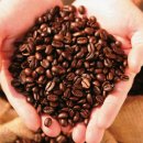 허씨삼대한의원 이미지