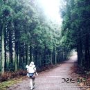 그리는제주in레이지마마 이미지