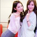 S라인