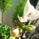 스플래쉬 이미지