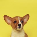 청암사우나 이미지