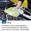 세차의정석 이미지