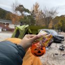 포천 비둘기낭 캠핑장 | 포천 애견동반 캠핑장 비둘기낭캠핑장 이용후기