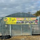 상월경로당 이미지