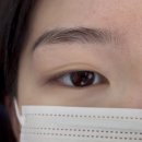 곡현로 77번길L | (광주/남구) 세렌뷰티에서 속눈썹펌 받고왔어요 🤗 서이추환영