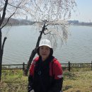 화랑 이미지