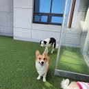견상낙원 이미지