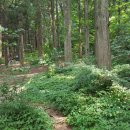 강나루캠핑야영장 이미지