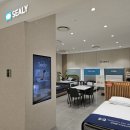 연이슈퍼 | 손품발품) 씰리(Sealy) 매트리스 등급 차이 비교 | 신혼침대 고민후기