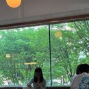 엘피타운 이미지