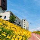 율하천자전거길 이미지