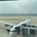 홍이 양꼬치 | [상해 DAY1] 마라반, 소양생전, 헌지우이치엔 양꼬치 먹방, 난징동루 구경, 예원 야경 보기