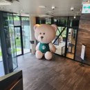 알까네 펫드라이브 | (내돈내산)북한강 드라이브 코스 추천, 스타벅스 더북한강R점에서 북한강뷰 보며 커피 한잔
