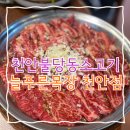 응원목장 | 천안 불당동 소고기 맛집 한우갈비살 추천 늘푸른목장 천안점