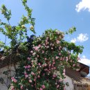 석탑세탁소 이미지