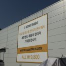 서울근교 파주 빈티지샵 창고형 옷가게 모든제품9800원 득템하고 온 후기