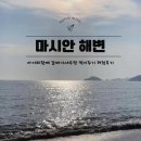 이마트24 마시안해변점 | 인천 마시안해변 주차 아이와함께 갈매기새우깡 먹이주기 체험