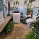 1950 | 대학로 빈티지 카페 추천, 혜화 감성 가득한 식물 카페 <CIRCA1950> 방문 후기