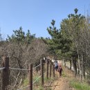 소청도 Daum카페