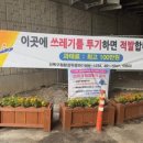 상록 이미지