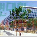 보람동_시드니하트 이미지