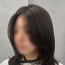 몬시크