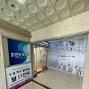 에스바디워크필라테스암사 네이버블로그