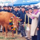 현대아산 이미지