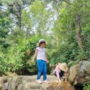 냉천골공원 이미지