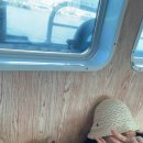 샛담민박 이미지