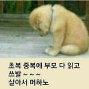 "시산회 366회 '북한산'(삼천사계곡) 산행기"＜2019.08.10(토)＞ 이미지