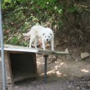 취병낚시터 이미지