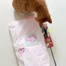 헤이플러피 (Hey Fluffy)
