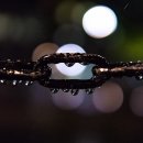 소설로 배우는 영어 이미지