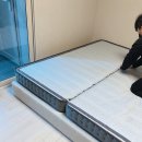 스테이오도록 이미지