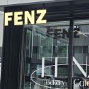 팬즈(FENZ)