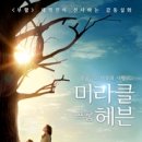 미라클 이미지