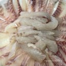 통영맛집 통영횟집추천 통영중앙전통시장 🐠산청활어🐠 내돈내산