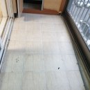 국화동성 이미지