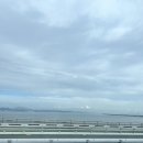 성모후문약국 | [나홀로 여행기] 🇯🇵일본 기타규슈 1일차