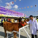 한우마을목장2 이미지