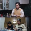 지조 카카오 검색결과