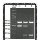 닥터팬더 동물병원 이미지