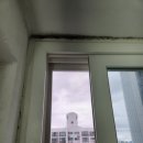 발라페인트