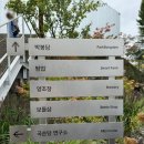 봉담읍사무소 외부화장실 | 서울 근교 카페ㅣ전통주를 판매하는 화성 카페 내돈내산 후기. 박봉담