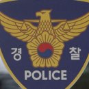 천연담뱃잎판매 이미지