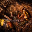 승리농장 이미지