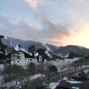 모른골지 이미지