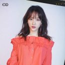 플러스B Daum카페